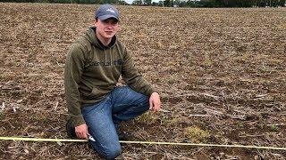 Some Early Corn Scouting Tips With Crop Specialist Charles Hebble