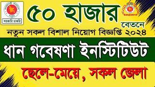 ধান গবেষণা ইনস্টিটিউট  নিয়োগ বিজ্ঞপ্তি ২০২৪।job circular 2024।সরকারি চাকরির খবর ২০২৪।govt job today