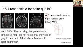 Week 7: The Neural basis of consciousness: Higher visual areas and the NCC
