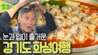 택시 기사님들의 PICK! 맛조개찌개를 아십니까? '경기도 화성 여행' [2TV 생생정보] KBS 230605 방송