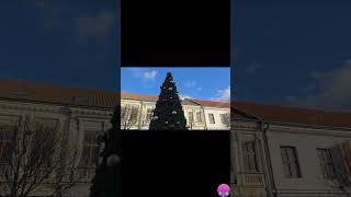 Karácsonyfa a sétányon Nagyszombat - 2025 12. 19.  #noel #christmas #travel