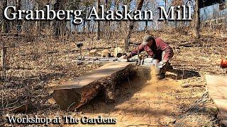 Milling Oak Log with a Stihl 881 and 72" Granberg Alaskan Chainsaw Mill