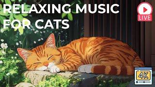 24/7 Cat MusicRelaxing Sleep Music for Cats Anxiety Relief  Cat Calming Music