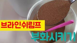 브라인쉬림프 부화 방법, 브라인 쉬림프 끓이기, 구피 생먹이 (alive guppy food- shrimp) 탱써니 물생활 TaengSunny