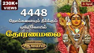 4448 நோய்களையும் தீர்க்கும் ஒரே கோயில் | தோரணமலை | Thoranamalai Murugan Temple | Jothitv