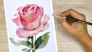 Watercolor painting Pink rose tutorials watercolour