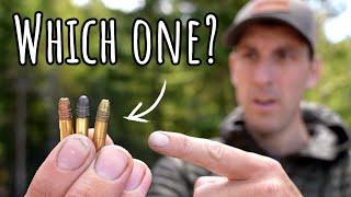 BEST 22LR Ammo for Grouse Hunting and Small Game Hunting!