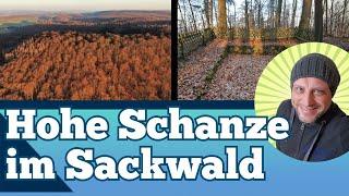 Hohe Schanze im Sackwald von oben - Wandern Rennstieg bei Winzenburg - Lehrpfad Wallanlage Olenborg