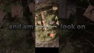 the real gorilla tag ghost #vr #gtag if you see am tell on comment
