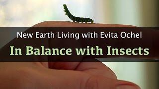 A Heart-Centered Approach to Insects [New Earth Living ep. 10]