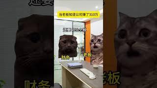 #猫meme #cat #猫meme小剧场 #猫meme剧场