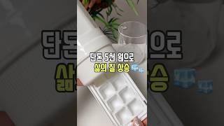 단돈 5천 원으로 삶의 질 상승템! #리뷰몽키
