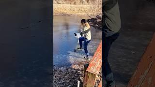 Doggo's mimic game is off the charts! #fyp #dog #dogs #funny #fypシ #pov #foryou #pet