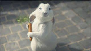 Follow the White Rabbit Military Operation (Plus, a Brunson Reaction Kudos!)