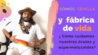 Cómo cuidar nuestra semilla: Los óvulos y espermatozoides// somos semilla // Sexualidad sagrada