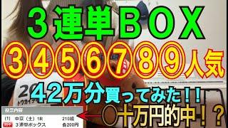 【競馬検証】42万円投資！3連単BOX③④⑤⑥⑦⑧⑨人気で買ってみた！