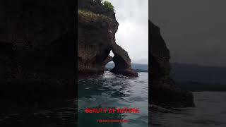 BEAUTY OF NATURE #nature #viral #philippineisland #bohol #travel #boholisland #diving