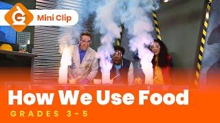 Food Science Video Lesson for Kids | Lesson On the Energy in Food | Grades 3-5 | Mini-Clip