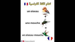 تعلم اللغة الفرنسية: مصطلحات مهمة باللغة الفرنسية vocabulaire en français #تعلم_اللغة_الفرنسية