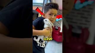 Trajo a su Conejo de compañía  a la Escuela  Pero lo que pasó después te sorprenderá 