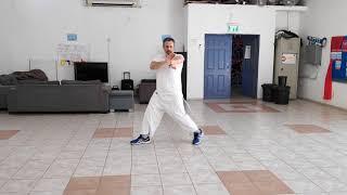 Chum Kiu sections 1-5 Wing Chun IPMAN Sifu Sam Chan