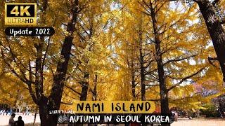 4K UHD  | Nami Island Walk tour - Seoul walker Autumn in Seoul Korea street walk 4K UHD 2022