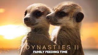 What's On The Menu for Meerkats? | Dynasties II | BBC Earth