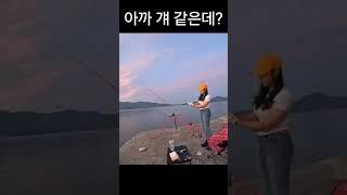 로드가 들리는 입질!!방파제에서 대물이?#fishing #원투낚시 #낚시 #방조제낚시  #fish
