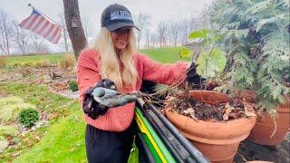 Fall Gardening In Michigan, Transplanting Brunnera From Pots to the Ground, Random Gardening Cleanup