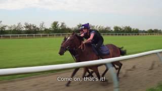 When Frankie met Sara - The Riding Lesson