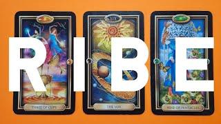 RIBE NOVO TAROT ČITANJE  HITNA ANĐEOSKA PORUKA ZA TEBE