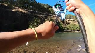 CHINOOK SALMON FISHING - BOBBER DOWN FROM THE BANK