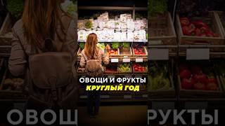 Овощи и фрукты круглый год / Специальные новости #овощи #фрукты #лукашенко #картошка #дефицит