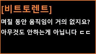 [비트토렌트 코인] 지금 가장 치열하게 뭔가를 하고 있는겁니다;;;; 근데 그 결실을 맺을 순간이 다가왔네요