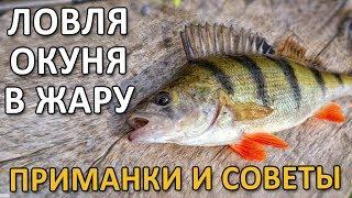 ЛОВЛЯ ОКУНЯ В ЖАРУ - ПРИМАНКИ И СОВЕТЫ! Рыбалка на окуня 2019!