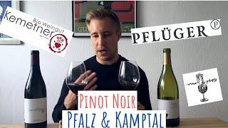 Pinot Noir Wine Ghosts | Pflüger & Kemetner | Pfalz & Kamptal