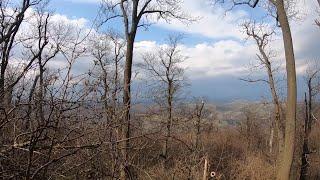  50 K/ 2000 HM Ultralauf: Gipfelkreuz, Kartause und stundenlanges herumirren im Wald ...