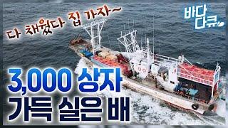 1시간 쪽잠 자며 바다에서 노숙한 결과. 3,000 상자 가득 채워 집 돌아가는 어선 / 3박4일 만선 멸치잡이 / #바다다큐