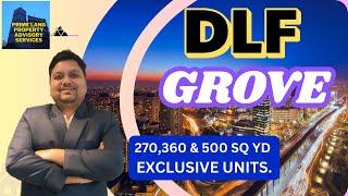 DLF The Grove Gurgaon - DLF Phase-5 - Golf course Road Gurgaon - DLF Independent Floors Phase 5