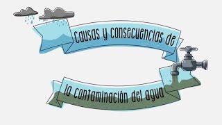 Causas y consecuencias de la contaminación del agua - Sostenibilidad | ACCIONA