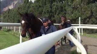 Drakenstein Stud Pre-Training