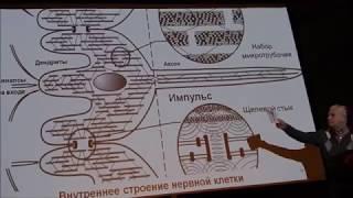 Александр Санин "Война в космосе - фантазия или реальная перспектива" - 1/2