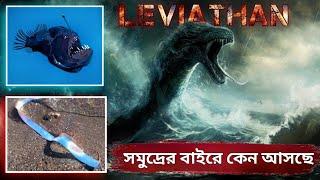 The Reality Of Oar Fish || Leviathan Or Angler Fish  Mystery