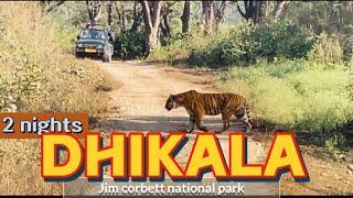 Night stay at dhikala I jim corbett national park I tigers at dhikala zone I forest rest house