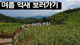 여름 억새는 영상으로 보는걸로 【등산 ▲명성산】 책바위코스