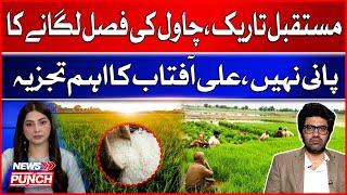 Rice Farming In Pakistan | There Is No Water For Planting Rice | Ali Aftab Analysis | Breaking News