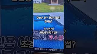 한남동 관저 수조의 정체? 개수영장? #윤석열 #윤석열대통령 #한남동관저 #한남동개수영장 #shorts