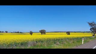 Bumps, Golden Fields, Twisties, and Breweries - Can-Am Spyder and Ryker – Scone to Bathurst