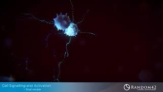 Cells Signalling, Making of / TP VFX by Ramdom42 Scientific Communications