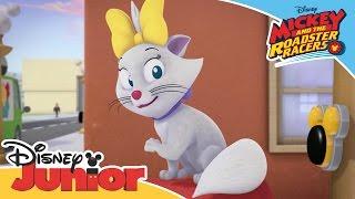 Mickey and the Roadster Racers - The Happy Helpers Resue a Kitten | Official Disney Junior Africa